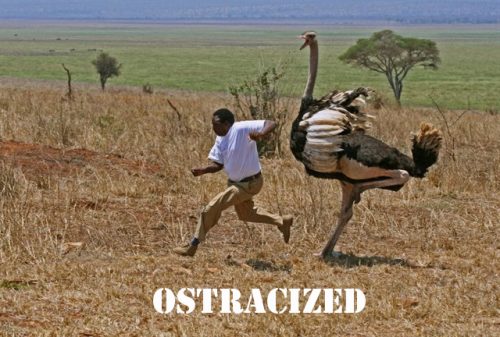 I guess "Ostracized Ostrich" wouldn't have been the most appropriate name for an Ubuntu release :)