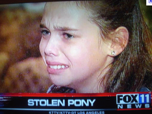 stolen-pony
